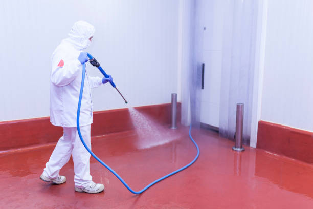 Best Building Exterior Washing  in Tuckerton, NJ